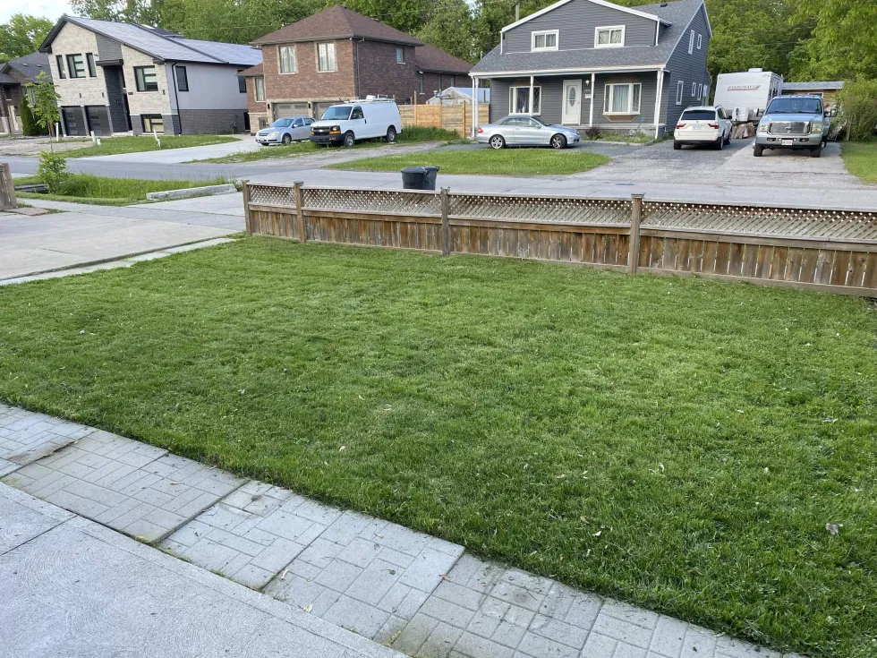 After - Front Yard Transformation