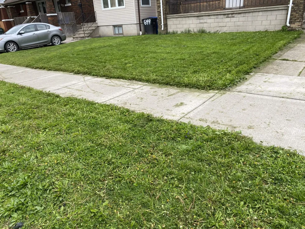 After lawn care