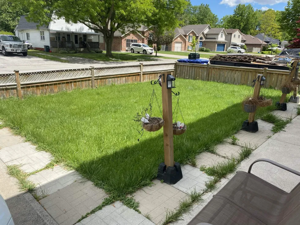 Before - Front Yard Transformation