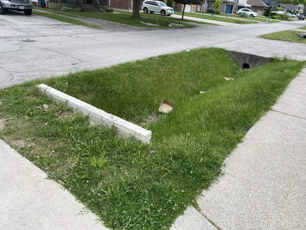 Before - Ditch & Curb Cleanup