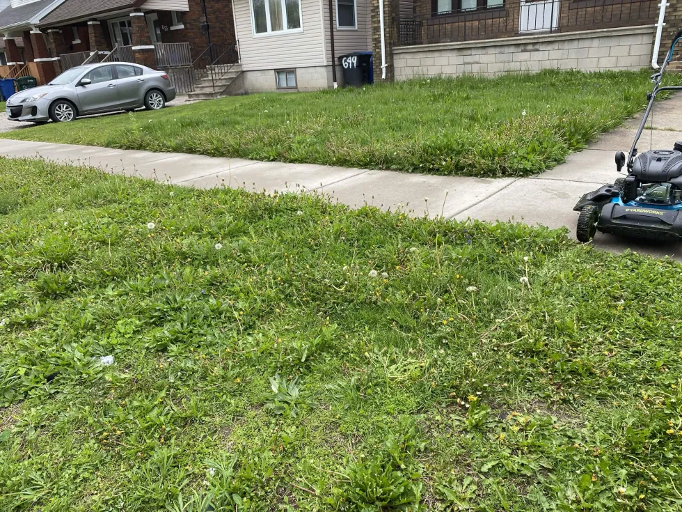 Before lawn care